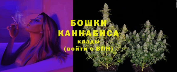 PSILOCYBIN Арсеньев