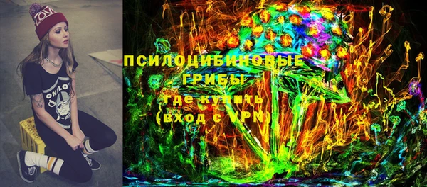 ПСИЛОЦИБИНОВЫЕ ГРИБЫ Балахна