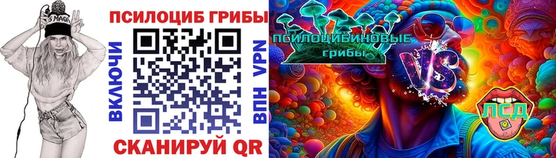 Псилоцибиновые грибы Cubensis  что такое наркотик  Новозыбков 